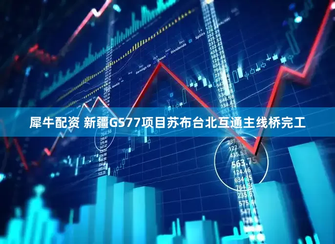 犀牛配资 新疆G577项目苏布台北互通主线桥完工