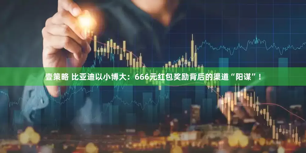 壹策略 比亚迪以小博大：666元红包奖励背后的渠道“阳谋”！