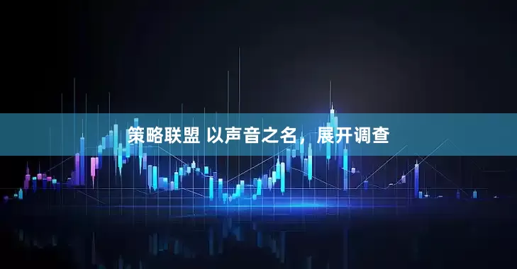 策略联盟 以声音之名，展开调查