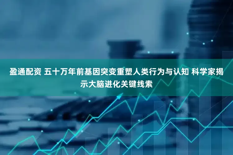 盈通配资 五十万年前基因突变重塑人类行为与认知 科学家揭示大脑进化关键线索